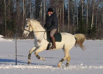romeo9[1].jpg - Jaana ja Romeo